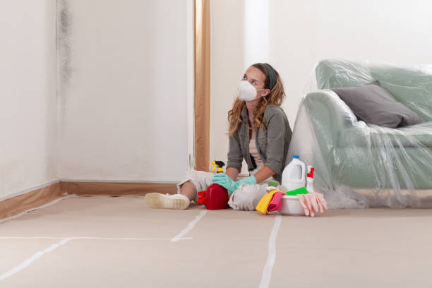 Reliable Commercial Mold Remediation contractor in Cedar Springs, MI by WQB Mold Removal
